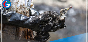 Juez evaluará impedimento de salida del país hoy para directivos de Repsol