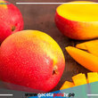 Consume mango, la deliciosa y nutritiva súper fruta del verano 