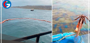 Nuevo derrame de petróleo en el mar de la playa Cabo Blanco en Piura