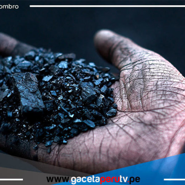 El mayor exportador de carbón, prohíbe ventas al mundo ante riesgo de un “gran apagón”