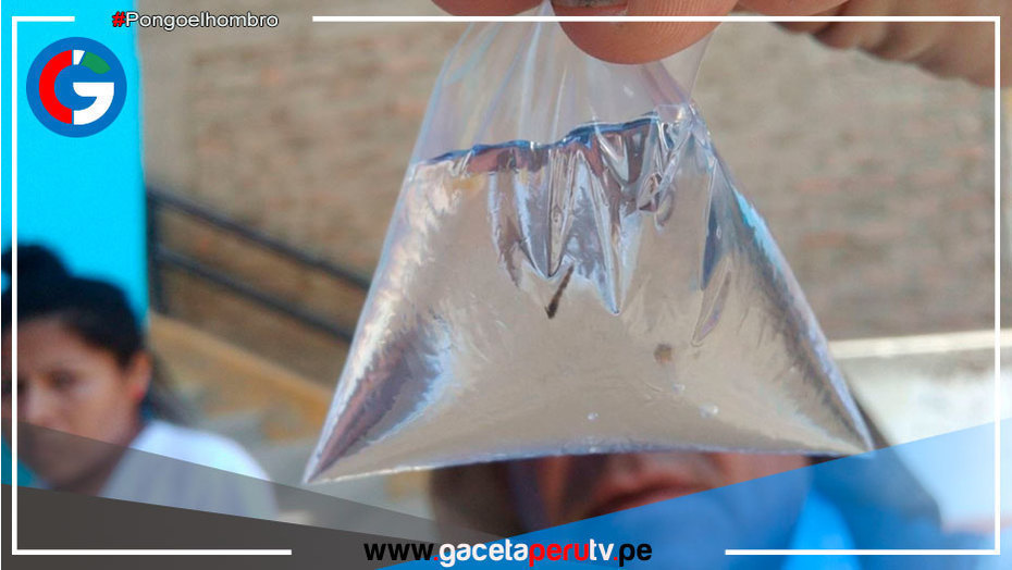 Se incrementan a 14 los casos de dengue en Casma