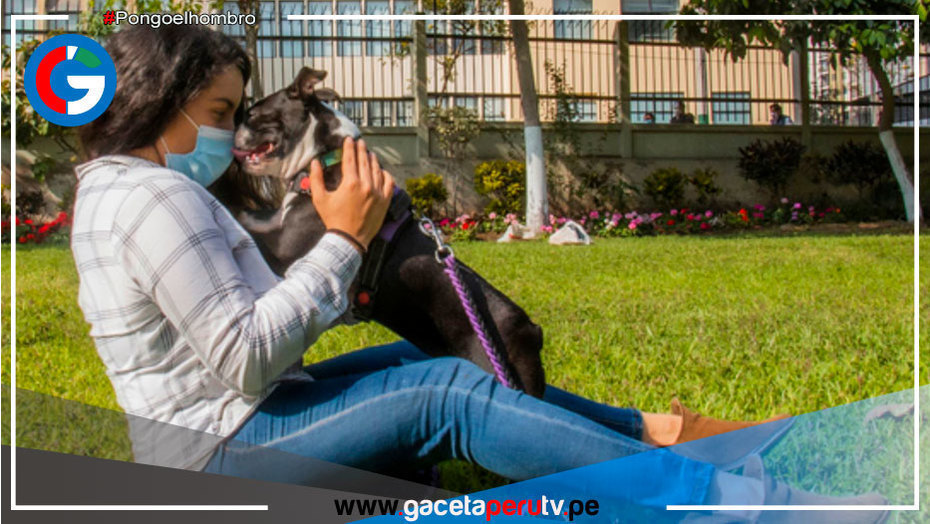 Mascotas ayudan a reducir estrés, soledad y depresión en pandemia