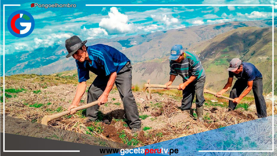 Gobierno lanza el programa de créditos “Siembra Más” para comprar insumos agrícolas y fertilizantes