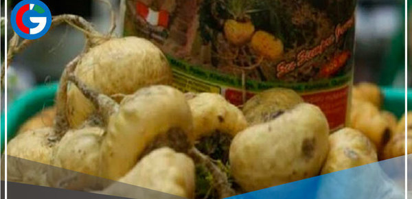 Sangre de grado y maca son los productos peruanos más afectados en el mundo