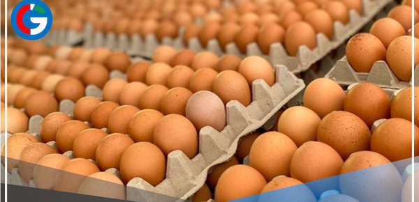 Recomiendan evitar consumir huevos que ingresan de contrabando al Perú