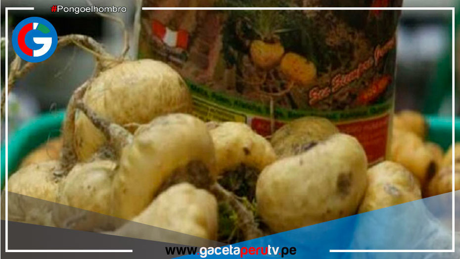 Sangre de grado y maca son los productos peruanos más afectados en el mundo