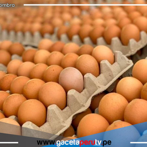 Recomiendan evitar consumir huevos que ingresan de contrabando al Perú