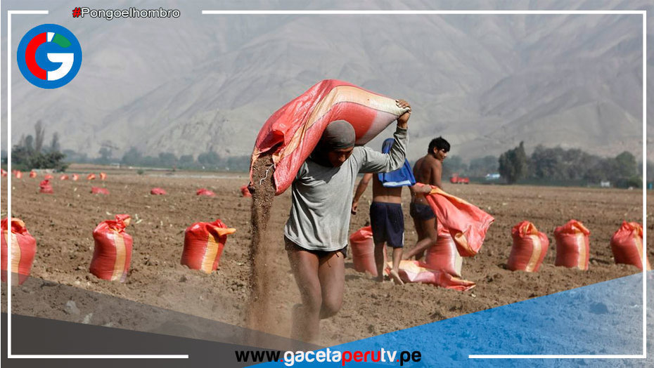 Agro Rural empezó a evaluar propuestas de empresas extranjeras para la compra del fertilizante nitrogenado urea