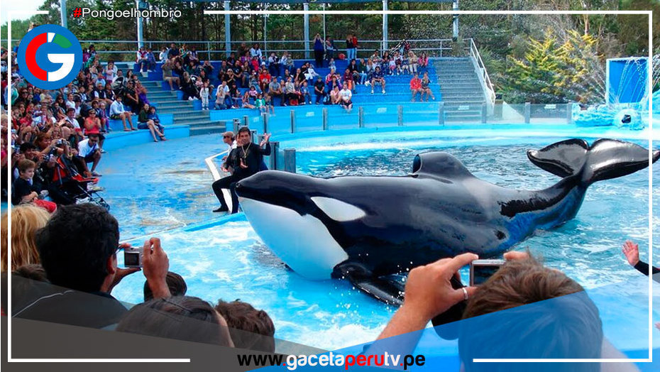 La senadora por el Frente de Todo, presentará un proyecto para prohibir los espectáculos marinos