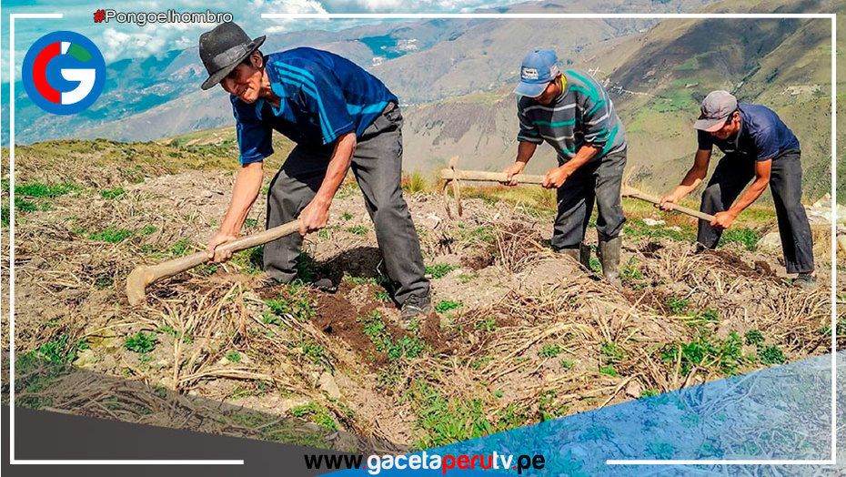 Acceden a crédito barato para fertilizantes en 48 horas