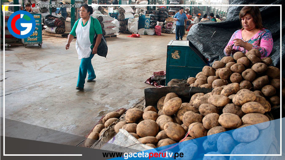 ¿Sabes por qué se ha incrementado tanto el precio de la papa?