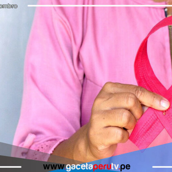 El cáncer de mama en el Perú se le considera el segundo más frecuente