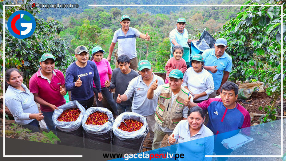 Caficultores de 50 asociaciones del Vraem participarán en "Ficafé Ayacucho 2022"