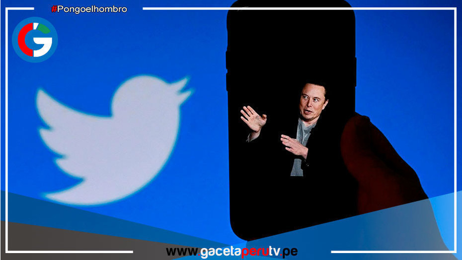 Musk planea recortar el 75 % del personal de Twitter