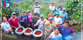 Caficultores de 50 asociaciones del Vraem   participarán en "Ficafé Ayacucho 2022"