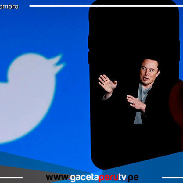 Musk planea recortar el 75 % del personal de Twitter