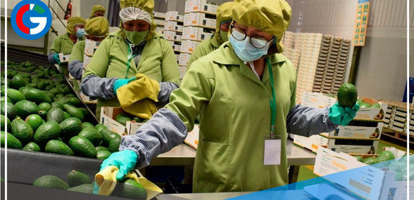 Más de 50 empresas de impulsarán proyectos de internacionalización