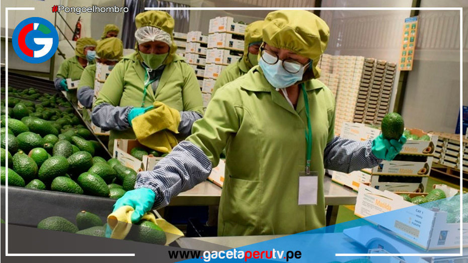 Más de 50 empresas de impulsarán proyectos de internacionalización