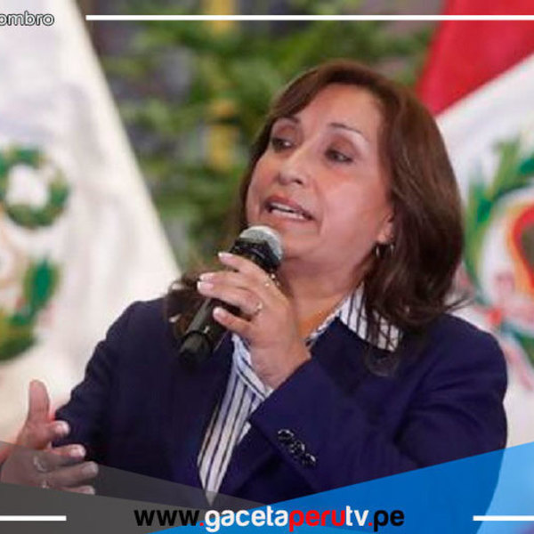 Dina Boluarte sobre visita de misión de la OEA: “Hay que recibir con respeto a este organismo”
