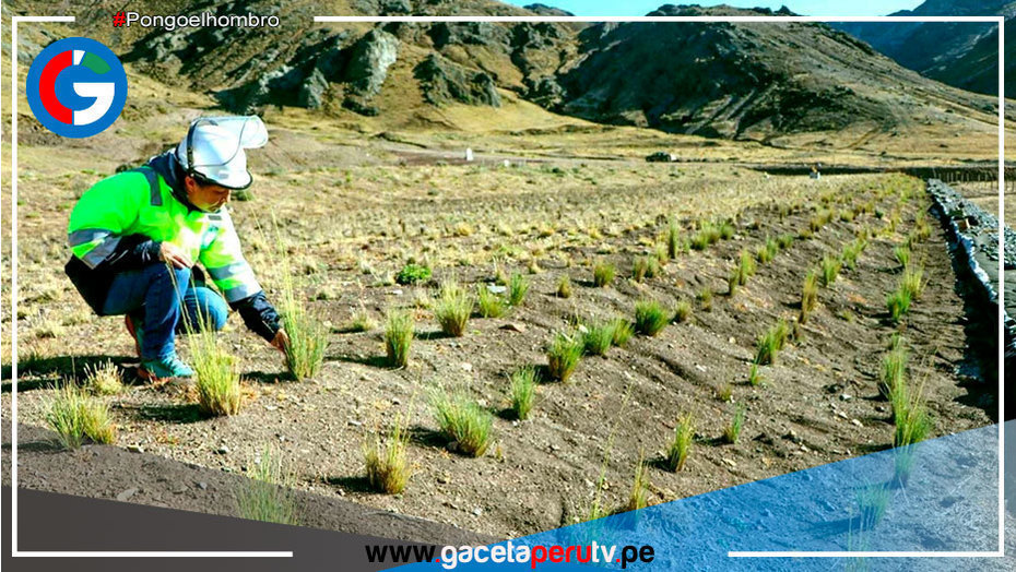 Impulsarán investigación científica en remediación ambiental minera en Perú
