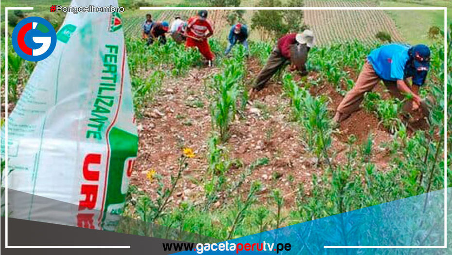 Cumplimiento del cronograma de adquisición y distribución de urea está asegurado