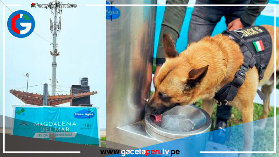 Instalan bebedero que transforma humedad en agua potable para personas y mascotas