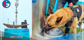 Instalan bebedero que transforma humedad en agua potable para personas y mascotas