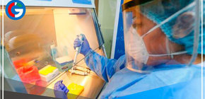 Perú reporta 1,347 contagios y 13 fallecidos por la covid-19 