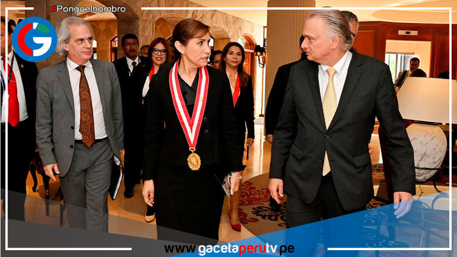 Fiscal de la Nación niega "motivación política" en denuncia constitucional a Pedro Castillo ante Grupo de Alto Nivel de la OEA