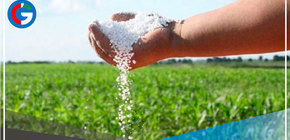 Midagri tiene un plazo de 16 días para perfeccionar el contrato con la empresa Direcagro