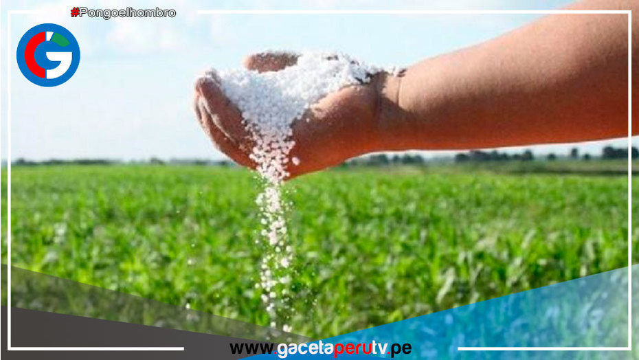 Midagri tiene un plazo de 16 días para perfeccionar el contrato con la empresa Direcagro