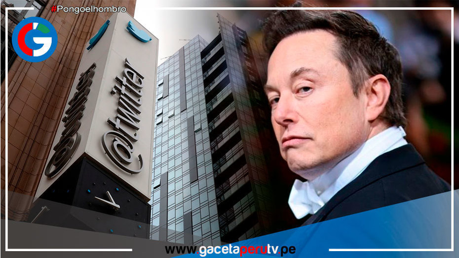 Elon Musk realizó despidos masivos en la red social de Twitter