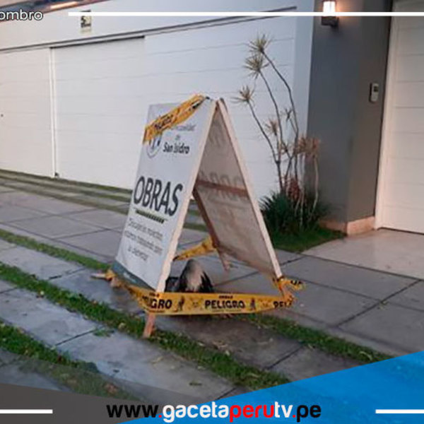 Un pelícano cayó muerto en calle de San Isidro y alertó a los vecinos