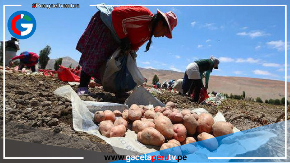 Destinan más de S/ 14 millones para la subvención de planes de negocio de mujeres rurales e indígenas