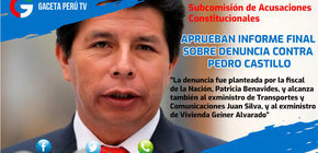 Aprueban informe final sobre denuncia contra Pedro Castillo
