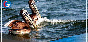 Venezuela declara alerta sanitaria en cinco estados