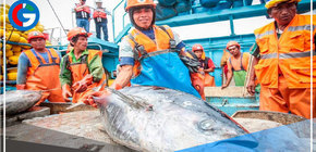 Recursos hidrobiológicos podrán ser exportados a Japón