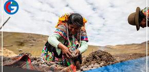 Las mujeres rurales aportan más de la mitad de la producción de alimentos del Perú