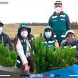 Siembran 9,000 plantones de pino en comunidad campesina de Cherec en Cajamarca 