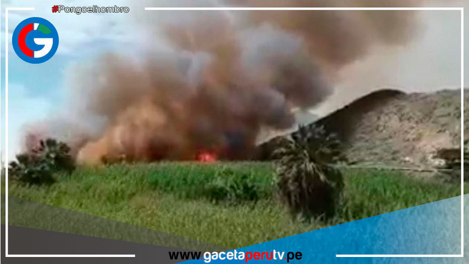 Un bombero herido y 1,5 has de cobertura vegetal dañadas por incendio forestal en Áncash