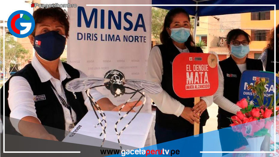 Personal del Minsa hace barrido casa por casa en Collique para controlar el Dengue