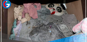 Encuentran a niña de 6 años que había sido reportada desaparecida en 2019 en Estados Unidos