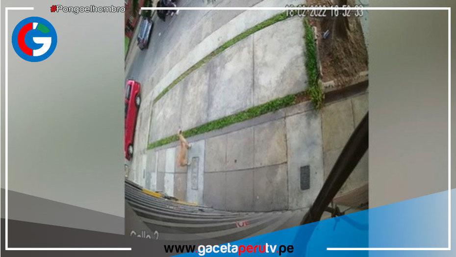Le robaron S/. 20 000 cuando salía del cajero en Breña