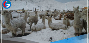 La Sierra soportará otro periodo de lluvias intensas, nieve y granizo 