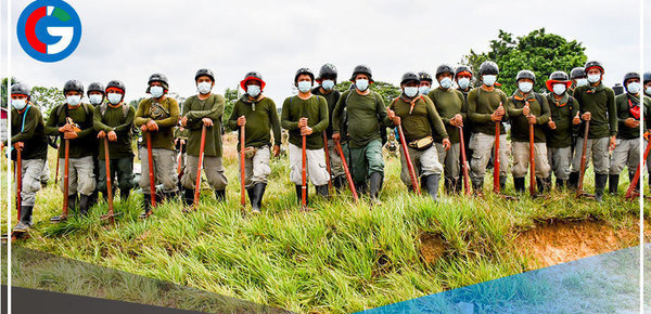 Erradicarán este año 18, 000 hectáreas de cultivos ilegales de hoja de coca
