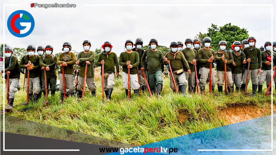 Erradicarán este año 18, 000 hectáreas de cultivos ilegales de hoja de coca