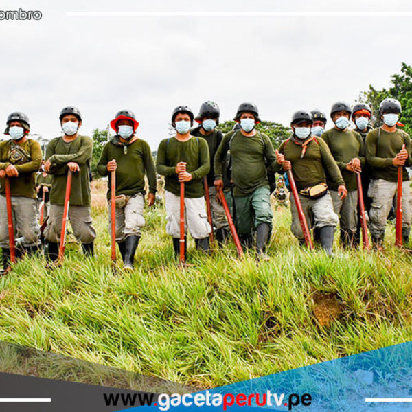 Erradicarán este año 18, 000 hectáreas de cultivos ilegales de hoja de coca