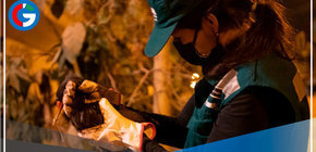 Serfor amplía puntos de acopio para recibir fauna silvestre afectada 