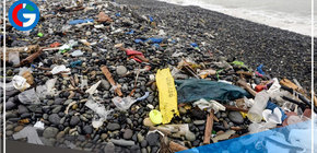 La contaminación con plásticos afecta ya al 88 % de las especies marinas 