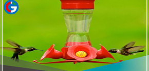 Colocan bebederos para colibríes en Piura